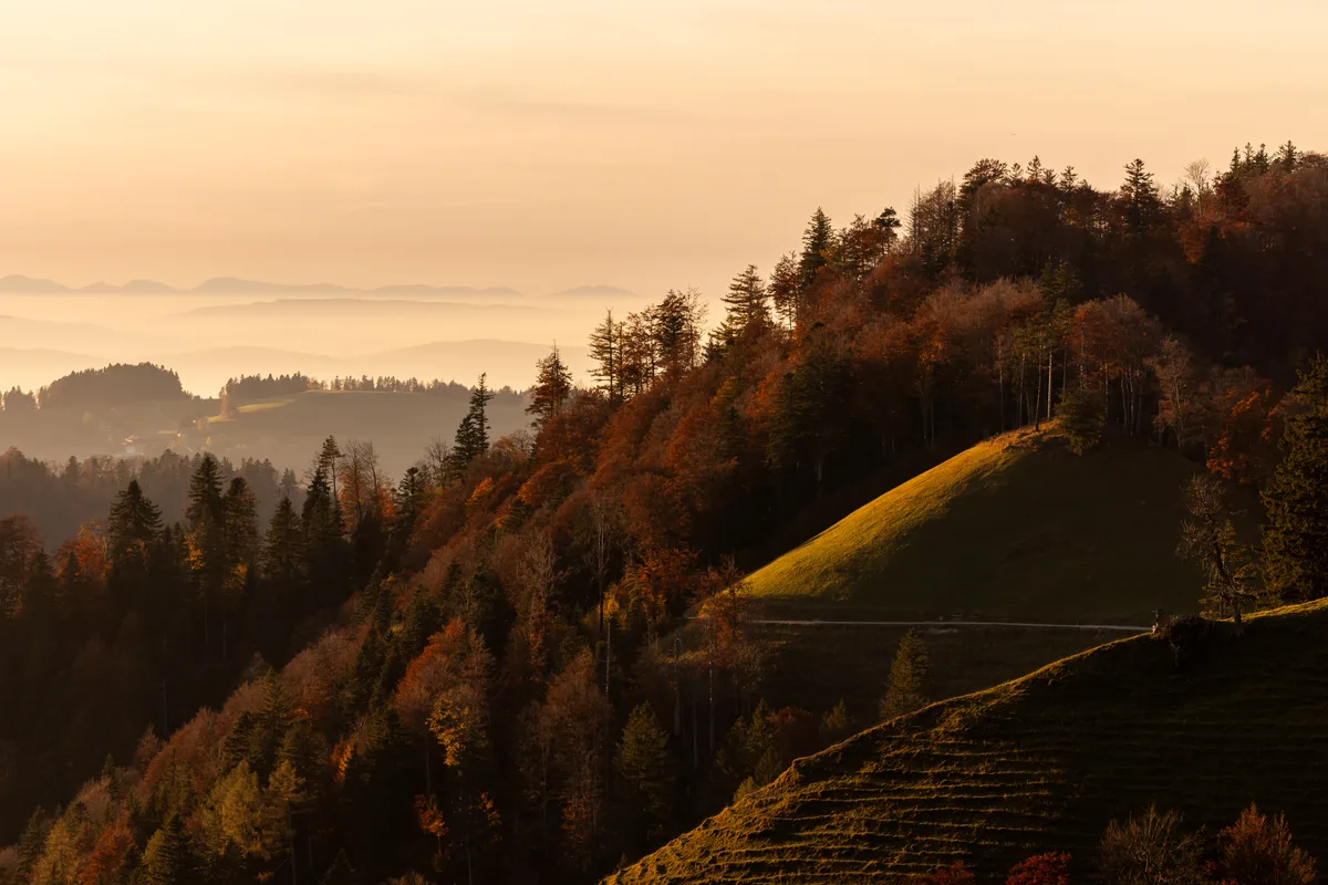 Herbsimpressionen 2023 in der Region Zürcher Oberland